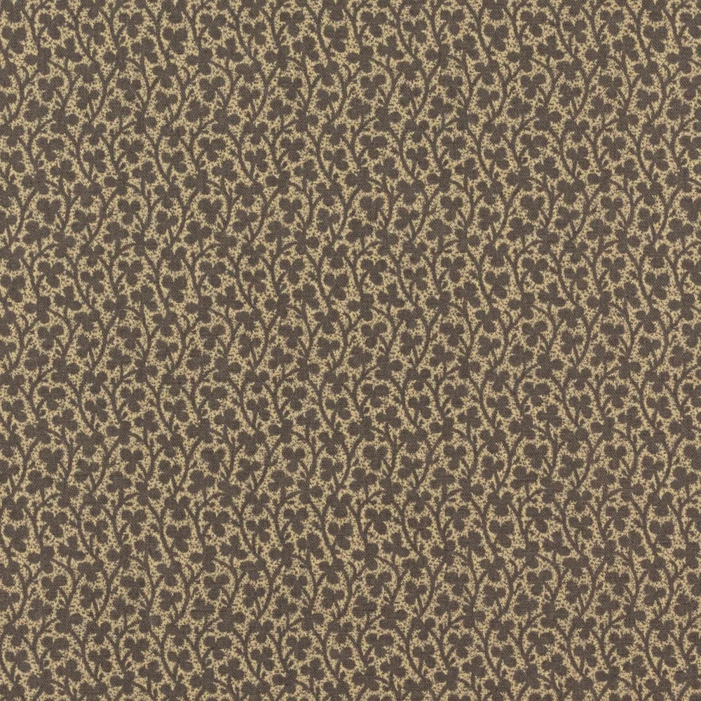 Clover | IN - Nutmeg