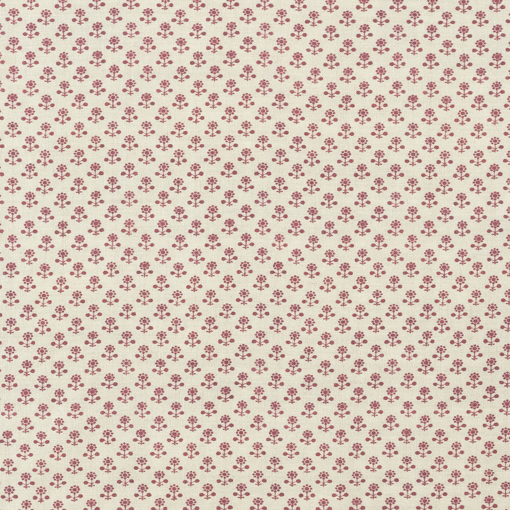Daisy | IN - Cherrywood