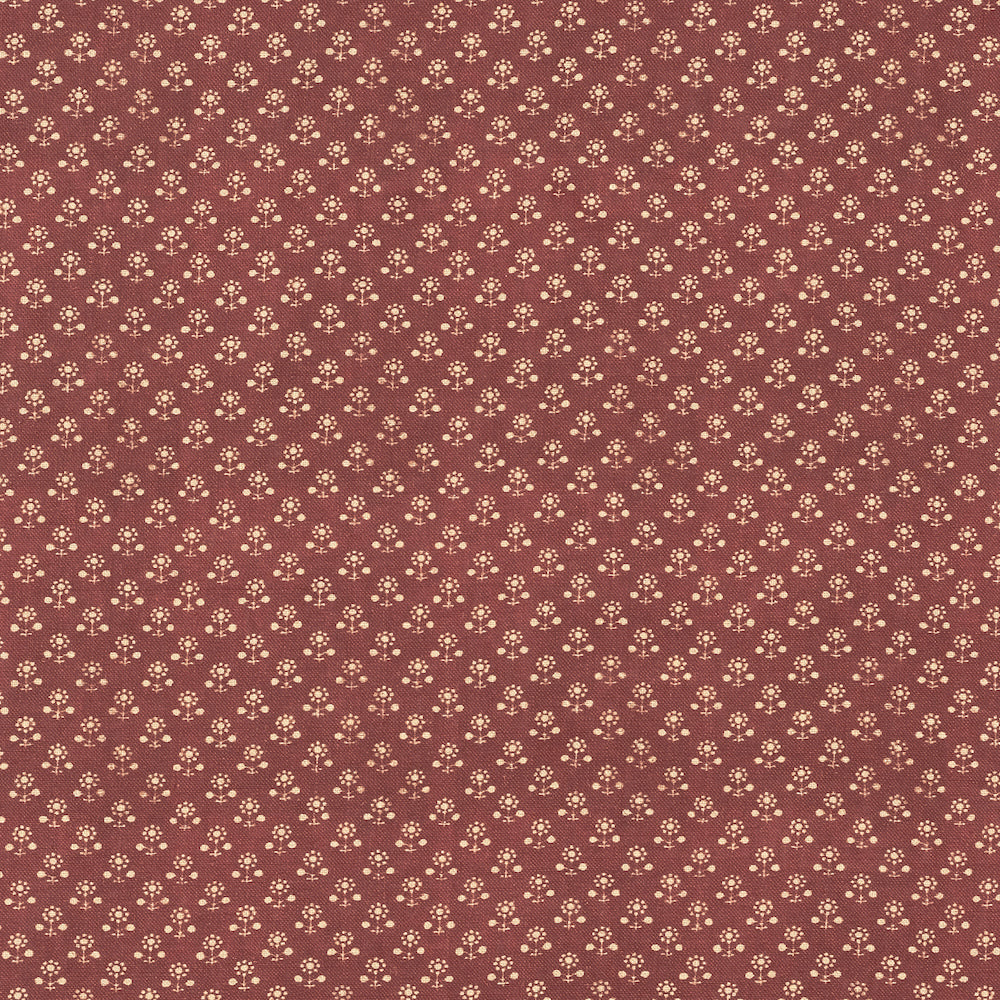 Daisy Inverse | IN - Cherrywood