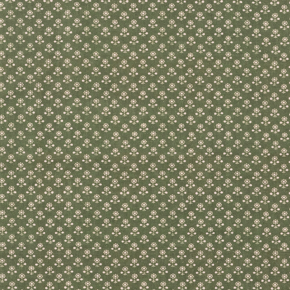 Daisy Inverse | IN - Fern
