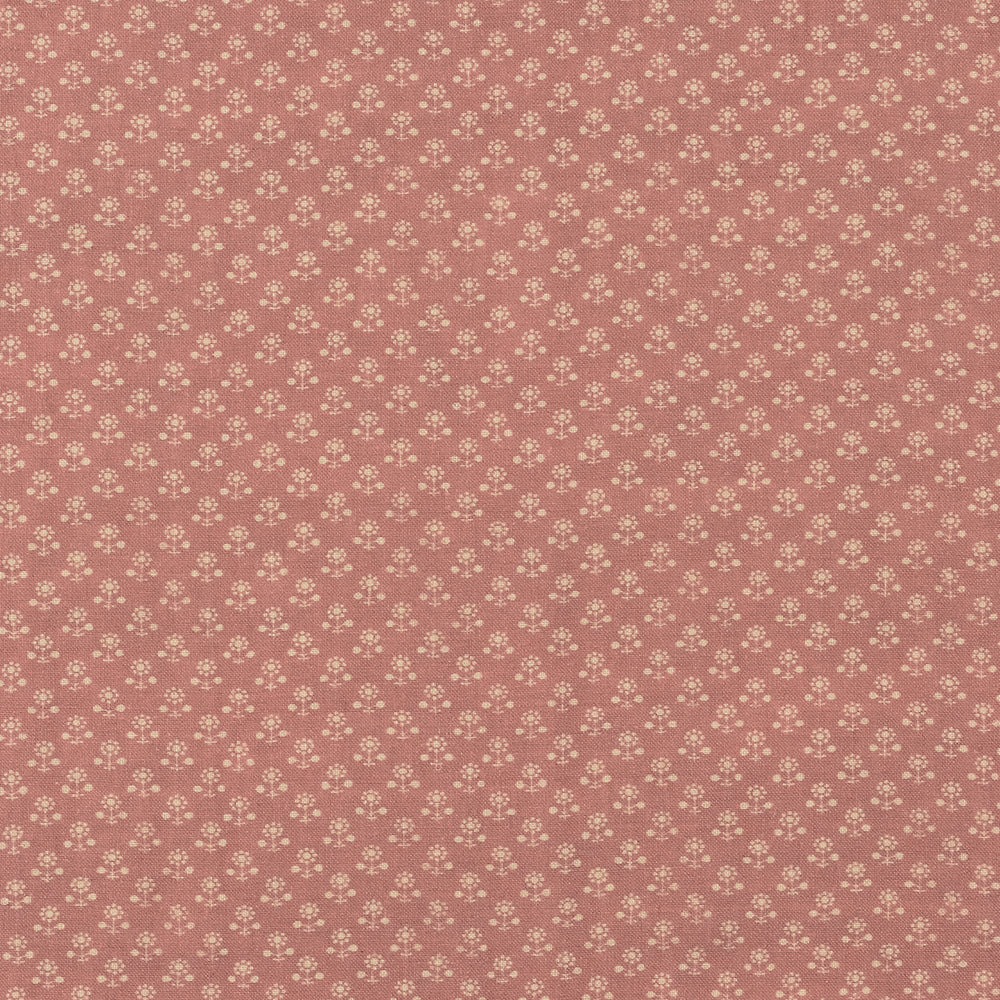Daisy Inverse | IN - Pink