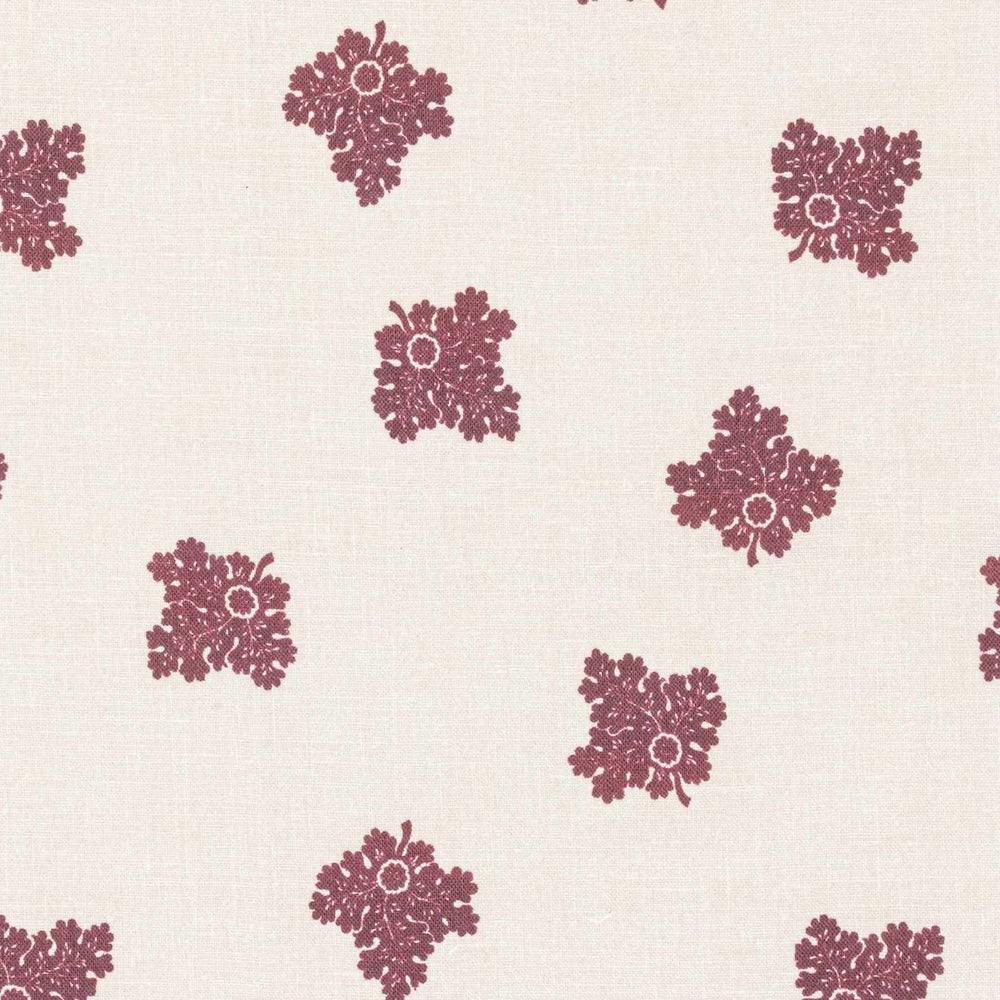D'Arbres | IN - Raspberry