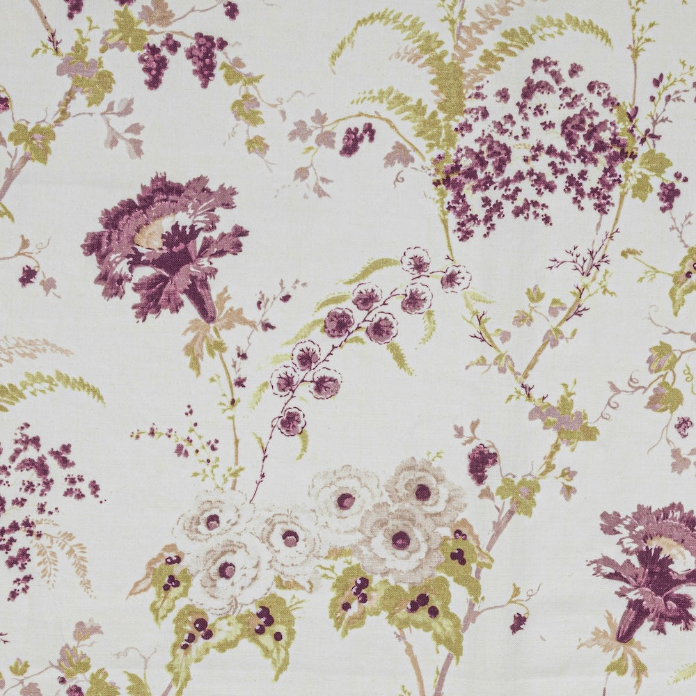Dianthus | IN - Damson