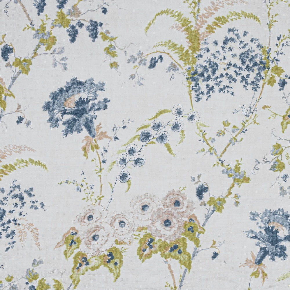 Dianthus | IN - Old Blue
