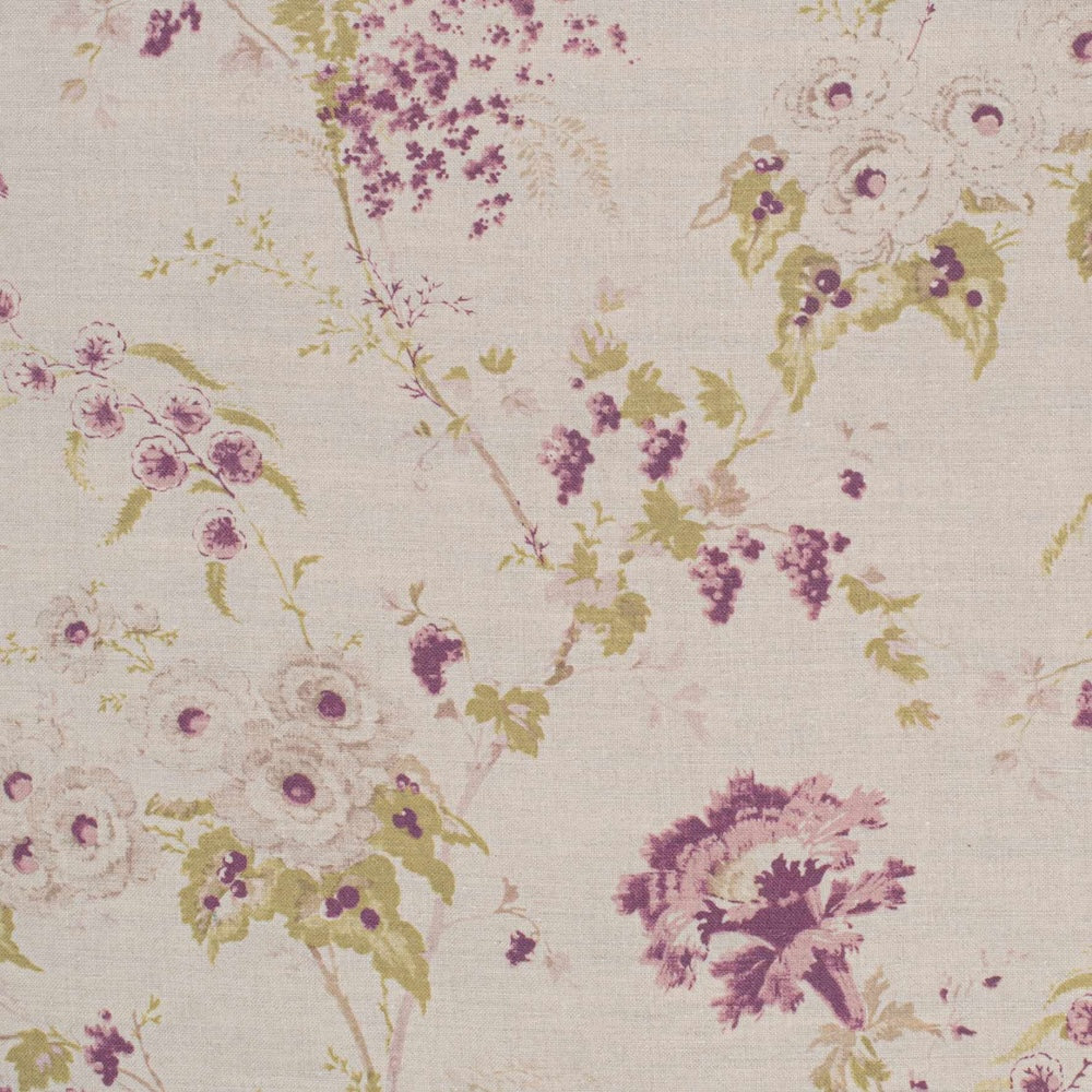 Dianthus | IN - Vintage Damson
