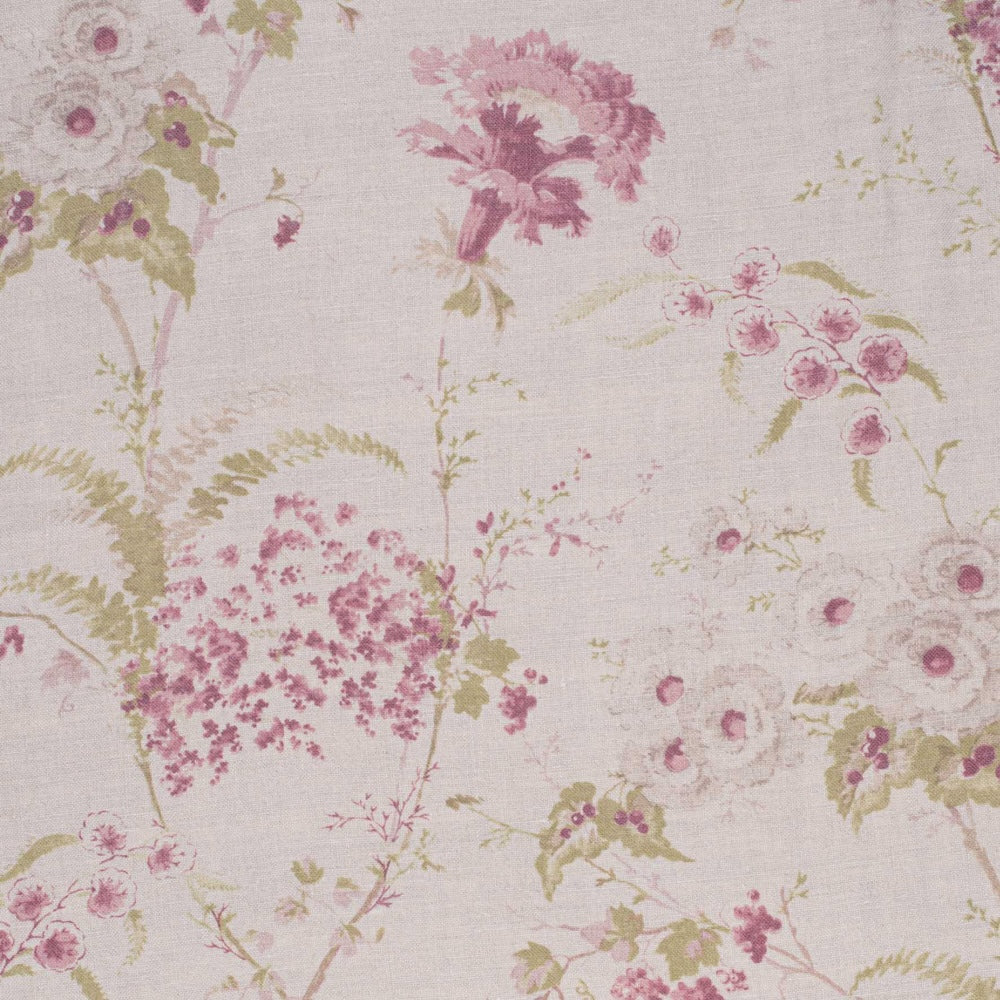 Dianthus | IN - Vintage Raspberry