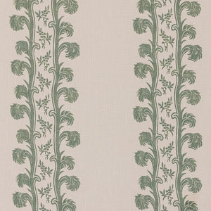 Plume Stripe | IN