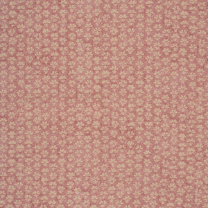 Sakura | IN