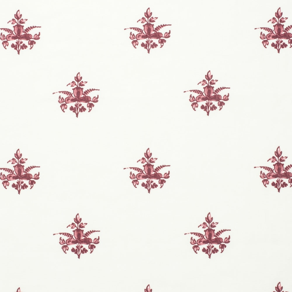Trifolium Clover | IN - Raspberry on Ivory