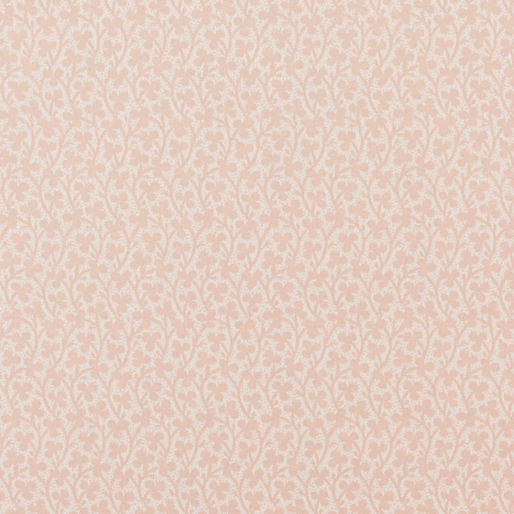 Clover WP | IN - Blossom