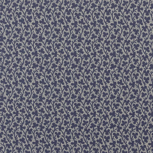 Clover WP | IN