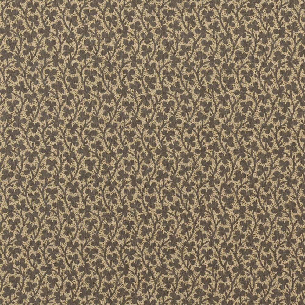 Clover WP | IN - Nutmeg