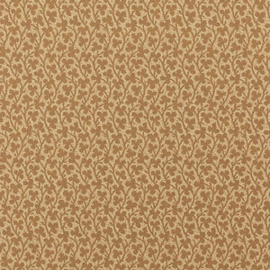 Clover WP | IN