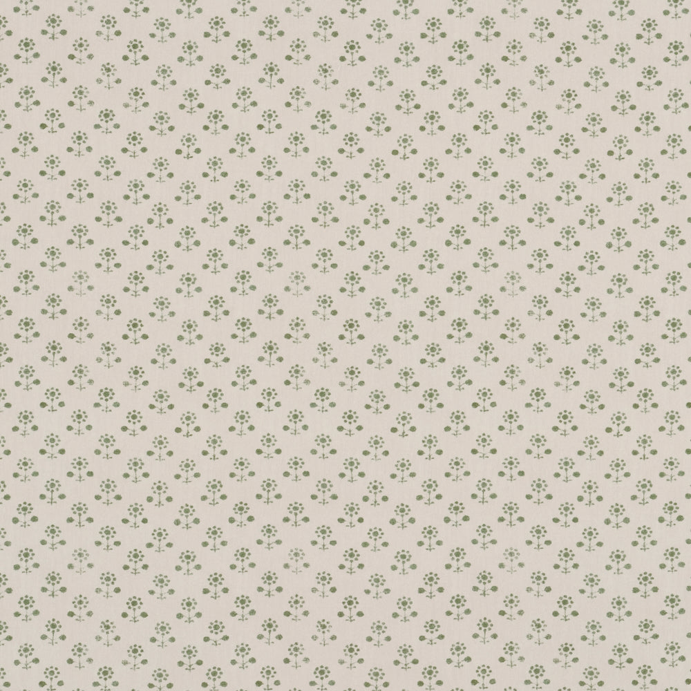 Daisy WP | IN - Fern