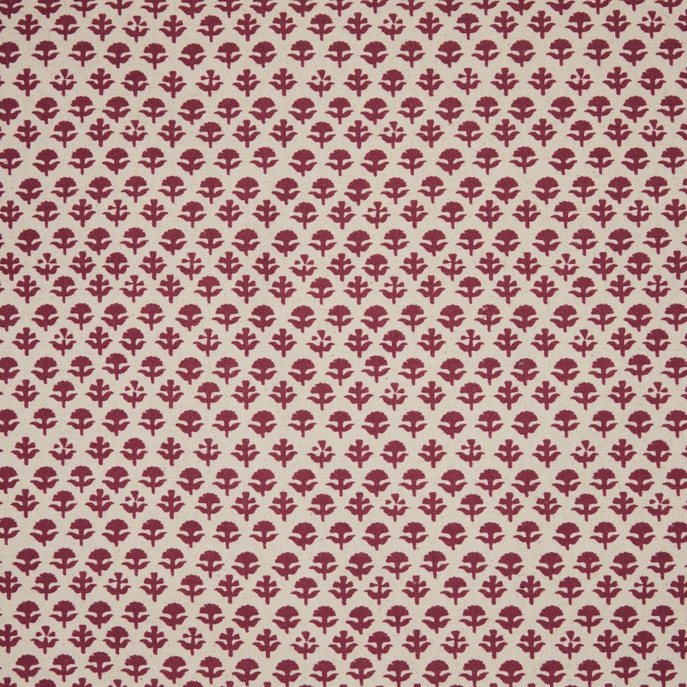 Bindi | JR - Berry