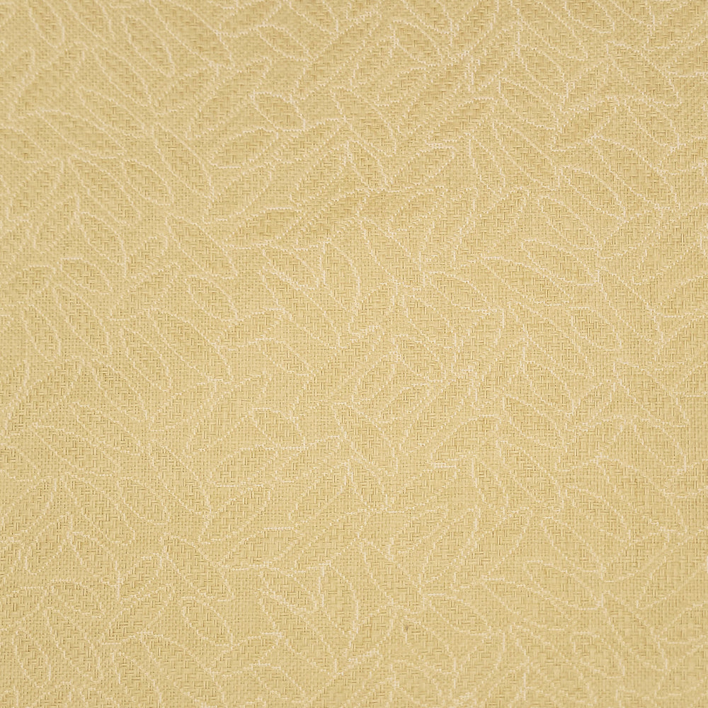 Canopy | JS - Canopy