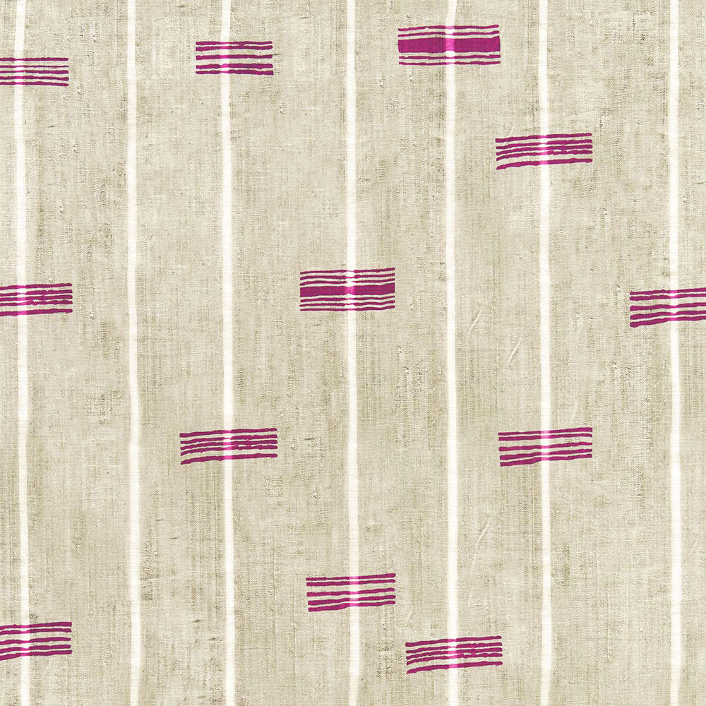 Aristida | JS - Aristida