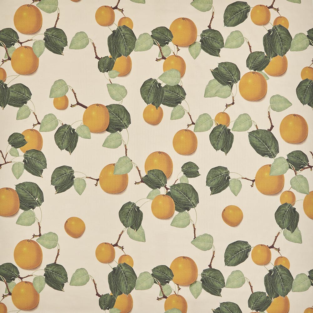 Orange & Leaves Performance | JS - Orange & Leaves Performance