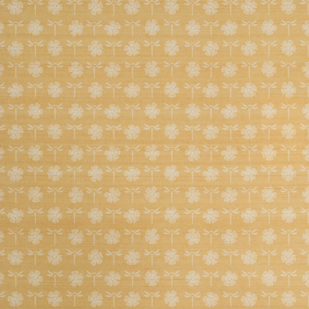 Dragon Fly Grasscloth | JS - Sudbury Yellow