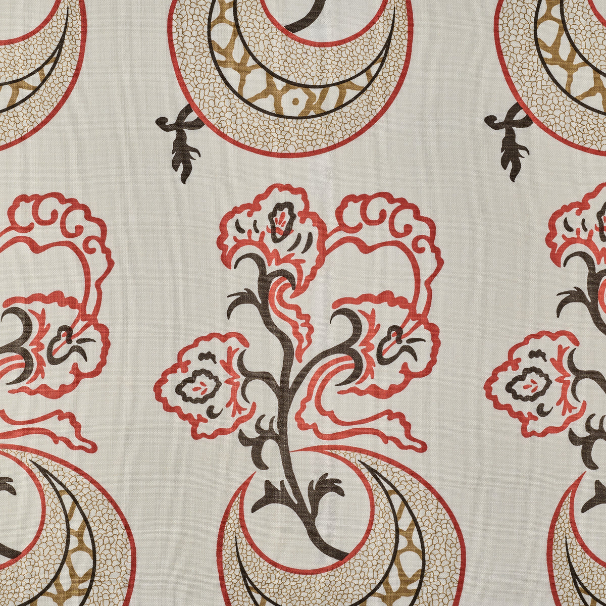 Moonflower | KR - Coral On White