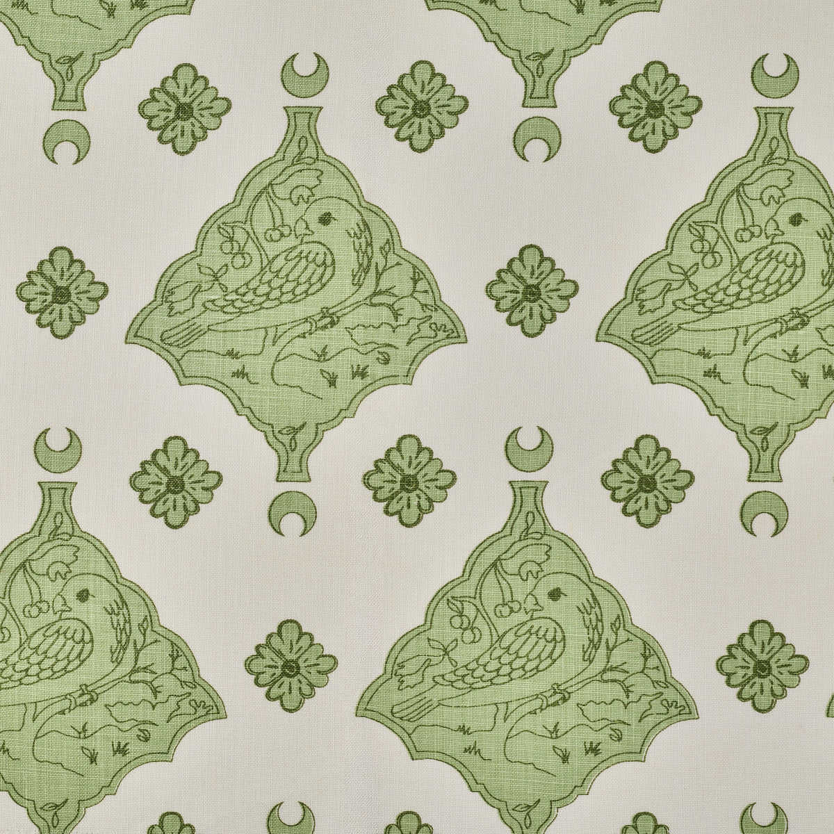 Oiseau | KR - Green