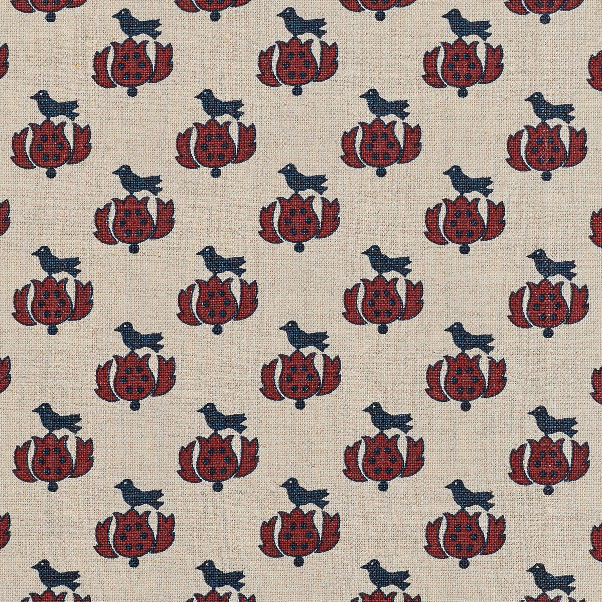 Tulipe | KR - Navy