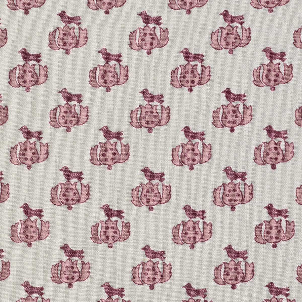 Tulipe | KR - Rose