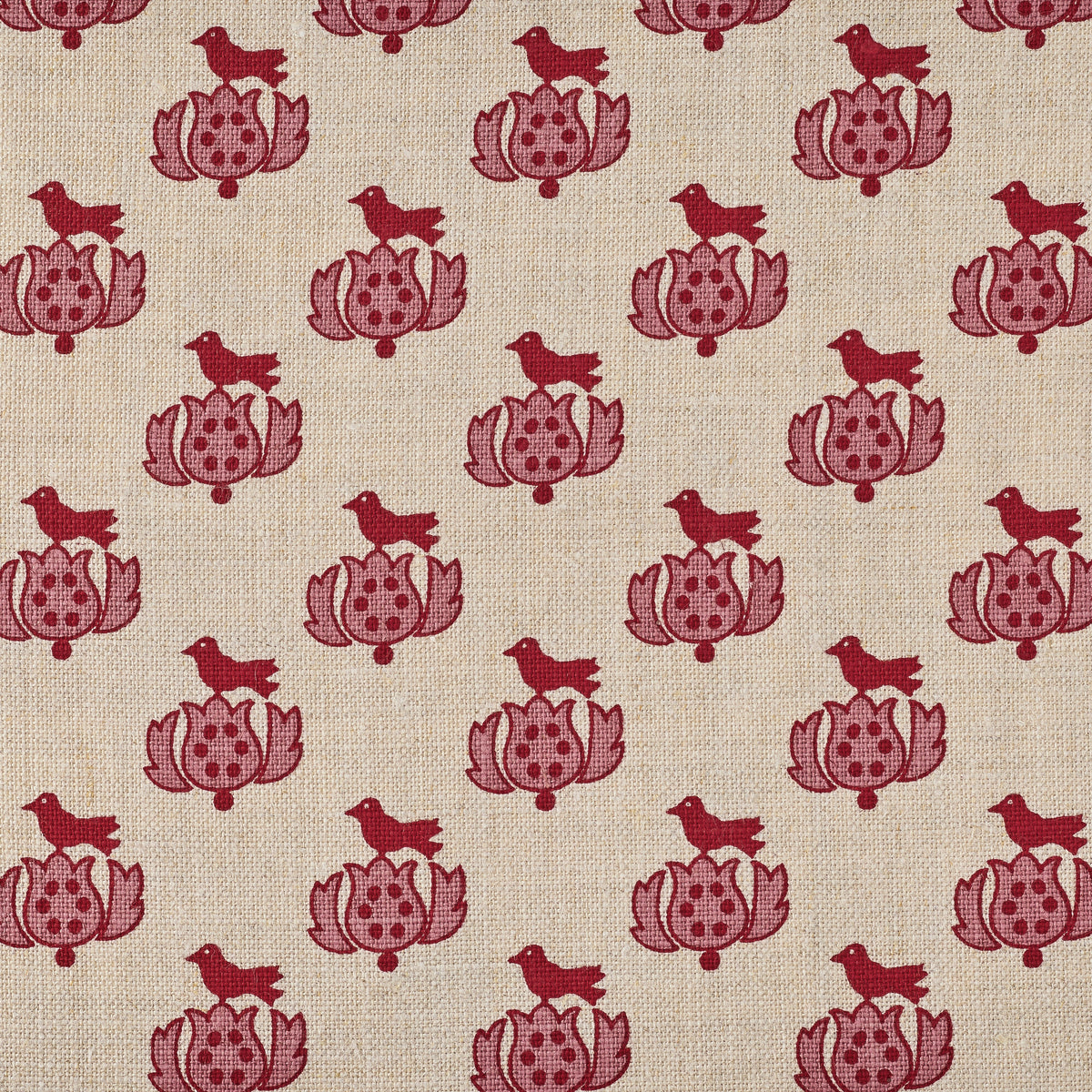 Tulipe | KR - Ruby