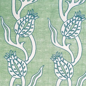 Ottoman Tulip | KR - Green