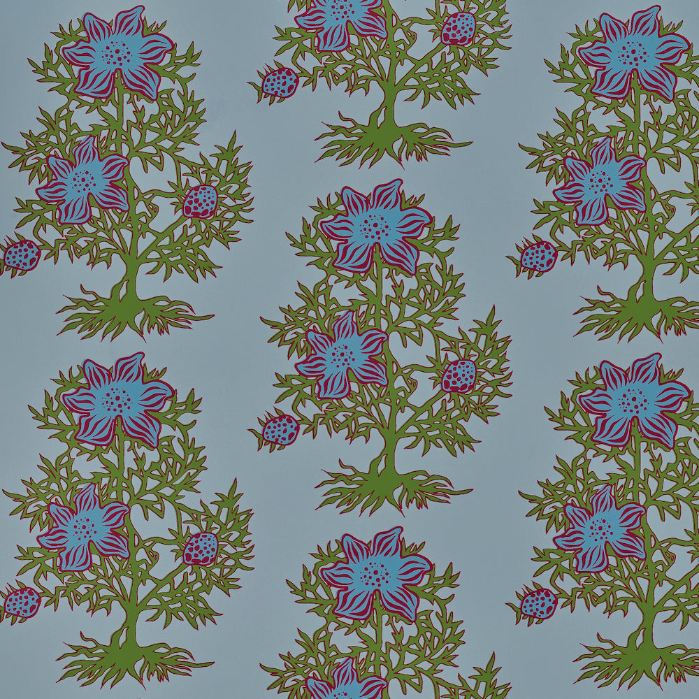 Nigella WP | KR - Bluebell