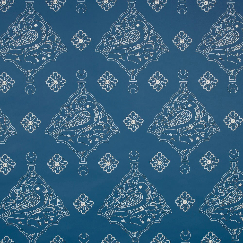 Oiseau WP | KR - Aegean