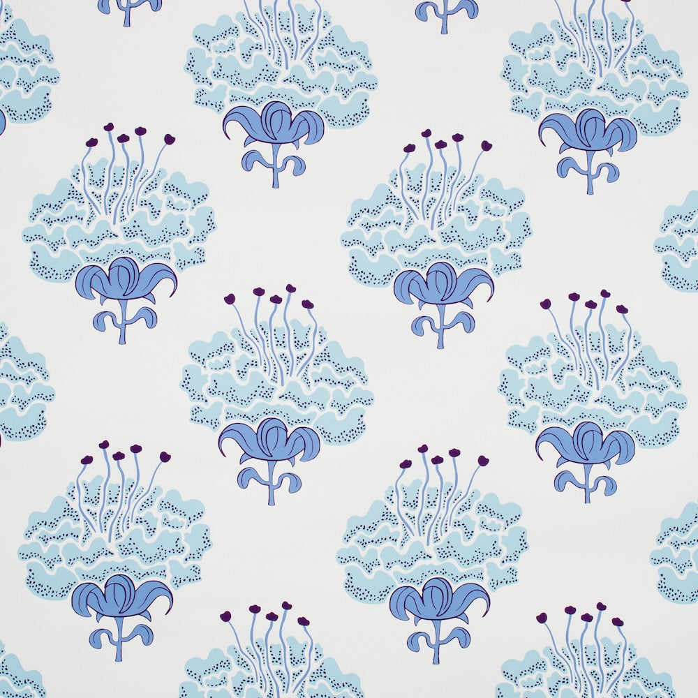 Peony WP | KR - Blueberry