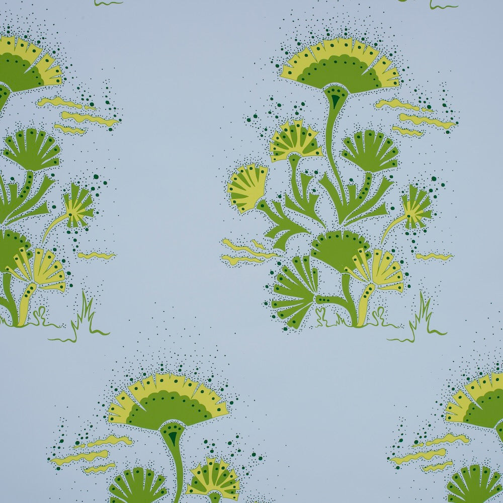 Seaweed WP | KR - Green