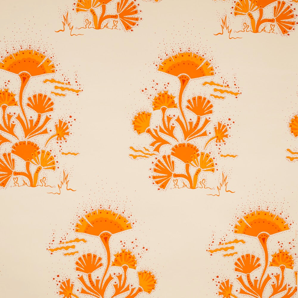 Seaweed WP | KR - Orange