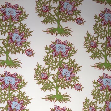 Nigella WP | KR - Bluebell