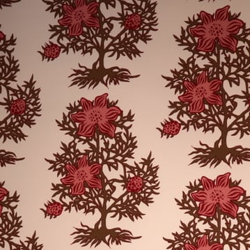 Nigella WP | KR - Rhubarb