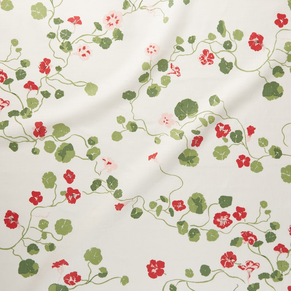 Nasturtium | LA - Meadow