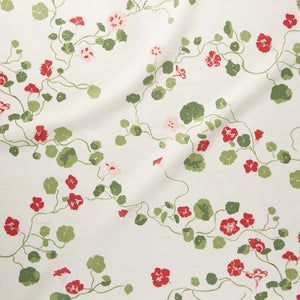 Nasturtium | LA