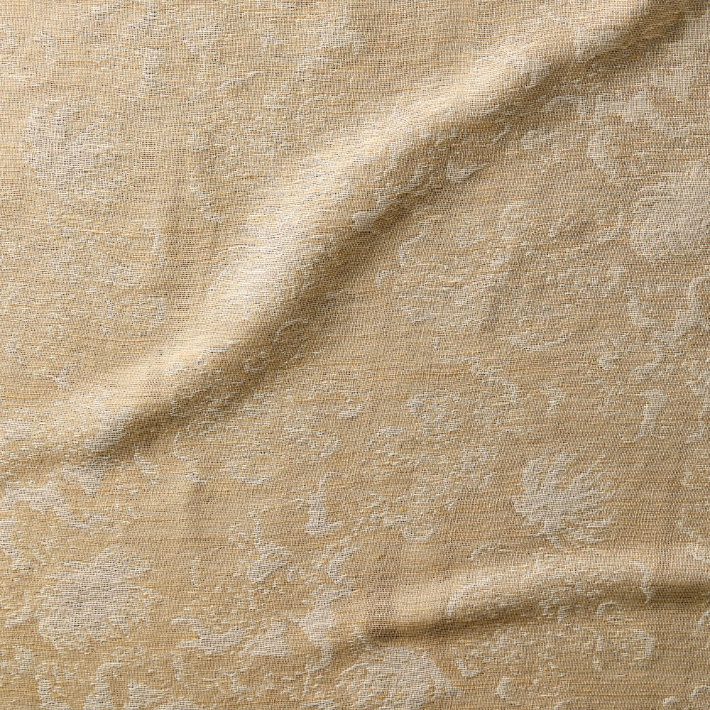 Sabella Sheer | LA - Sea Fan