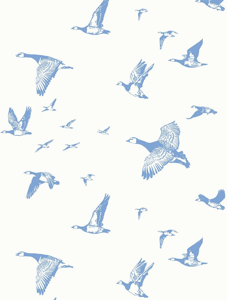Flock in Flight WP | LA - Midocean