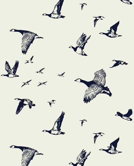 Flock in Flight WP | LA - Halcyon