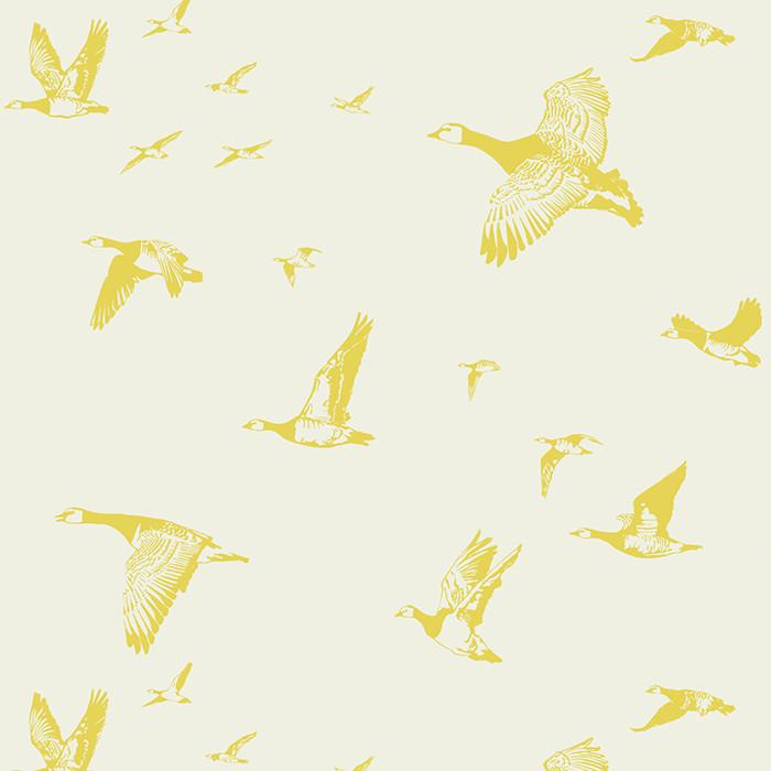 Flock in Flight WP | LA - Pale Sun