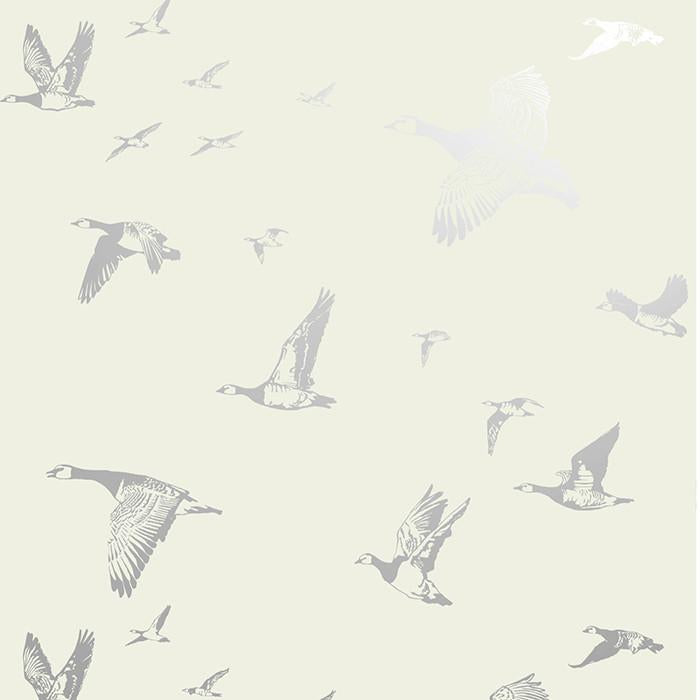 Flock in Flight WP | LA - Silver Sky
