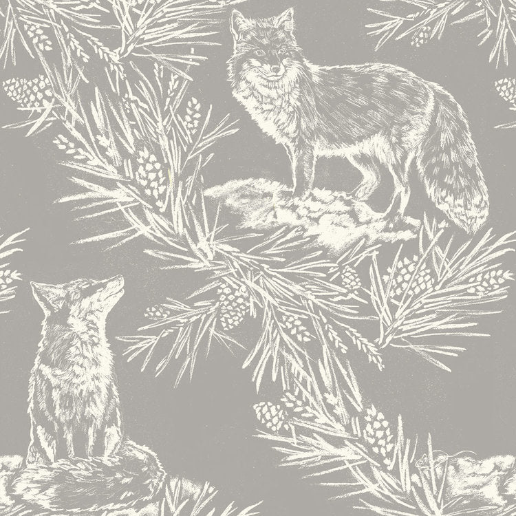 Fox in the Snow WP | LA - Stone