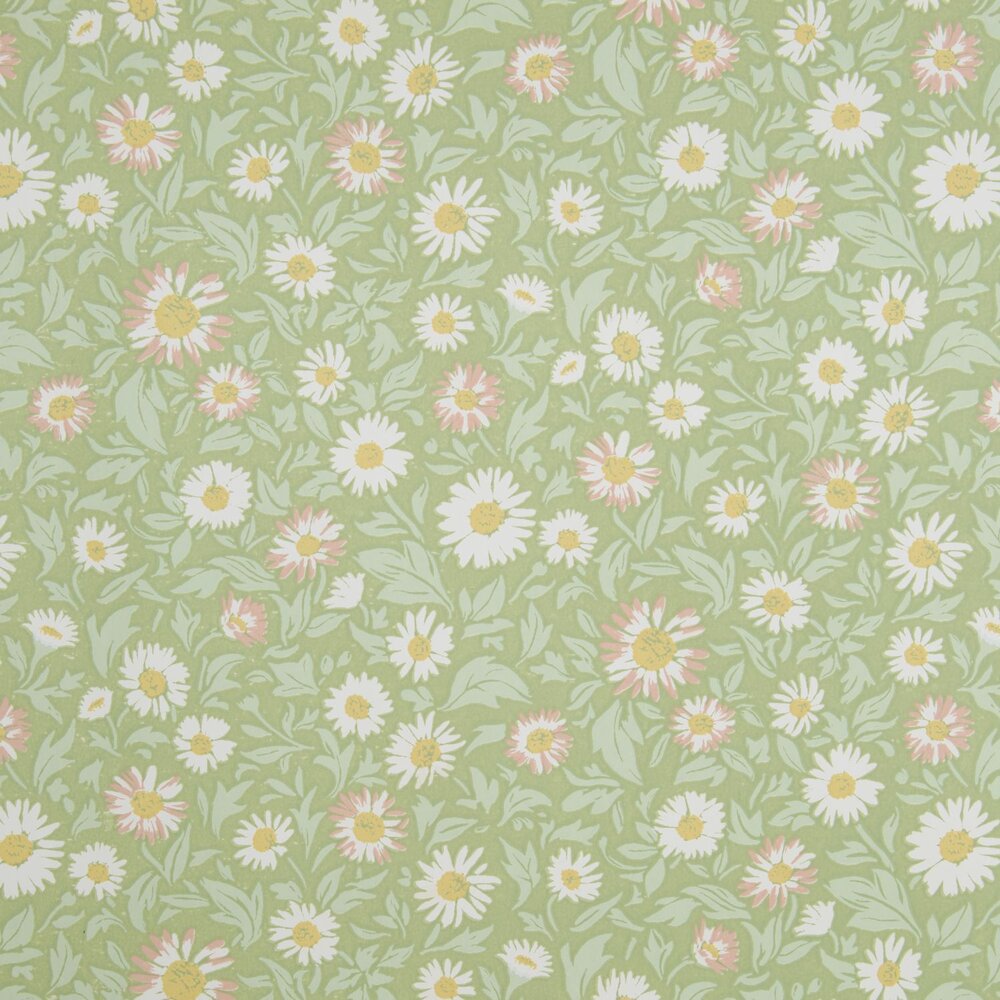 Bettina WP | LA - Field