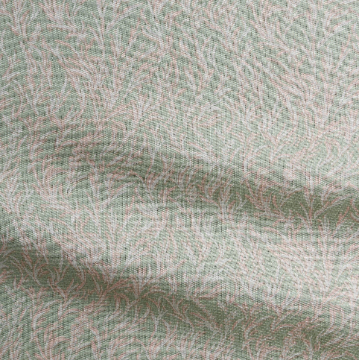 Pinegrass | LA - Valley