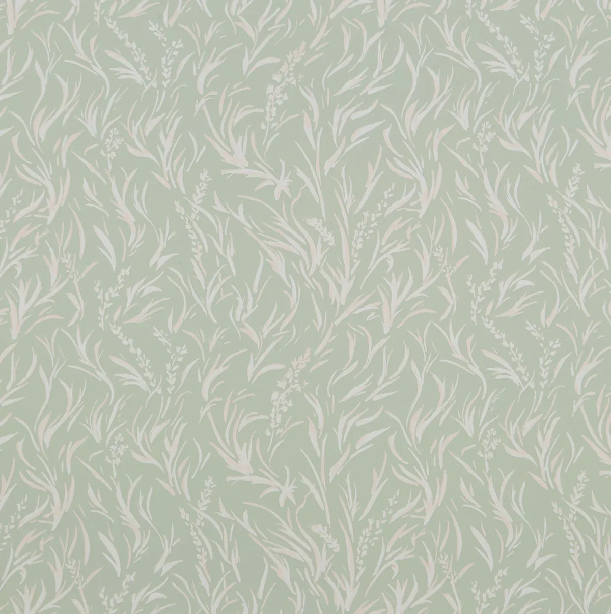 Pinegrass WP | LA - Valley
