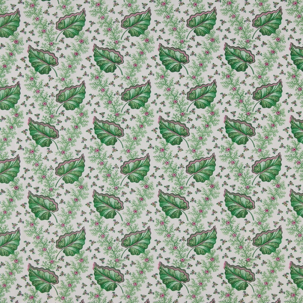 Blanche | LF - Grass