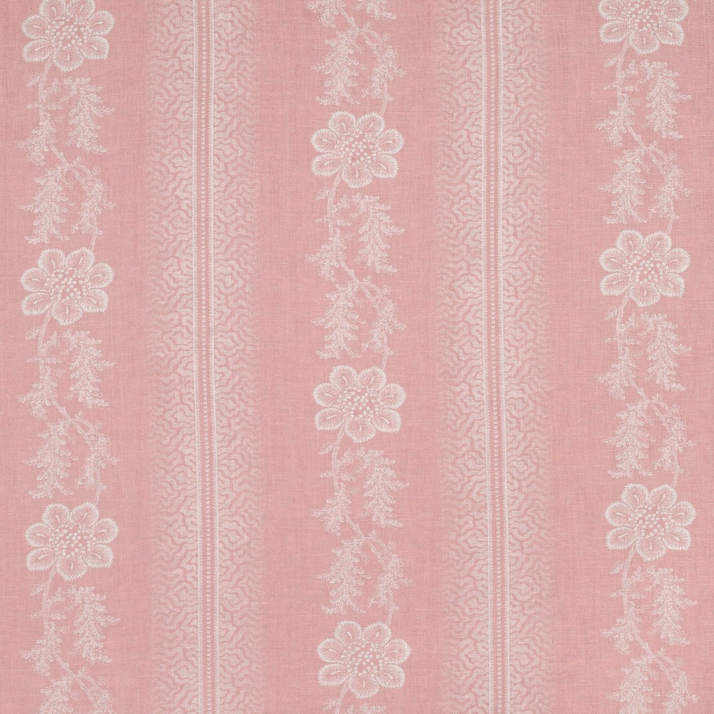 Daphne | LF - Seashell