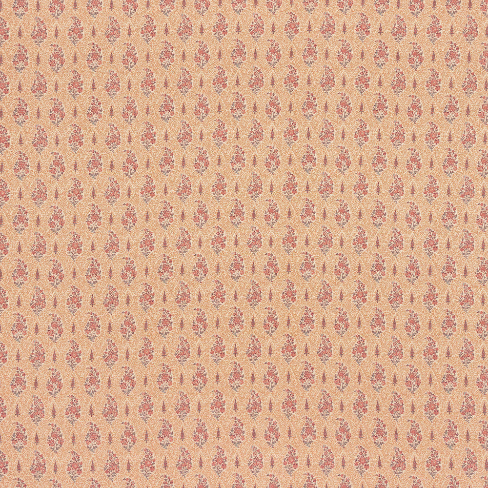 Fariba | LF - Apricot